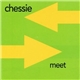 Chessie - Meet